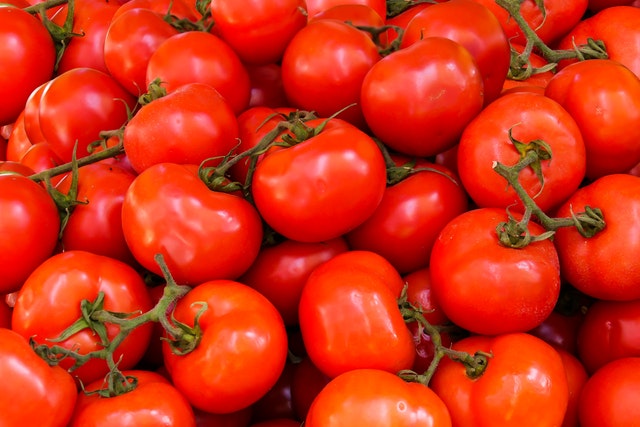 Great Looking Tomatoes